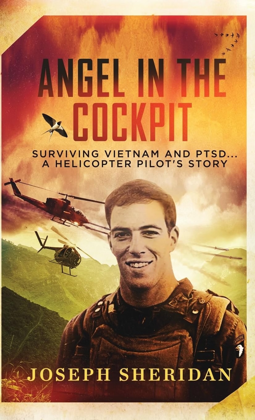 Angel In The Cockpit book cover